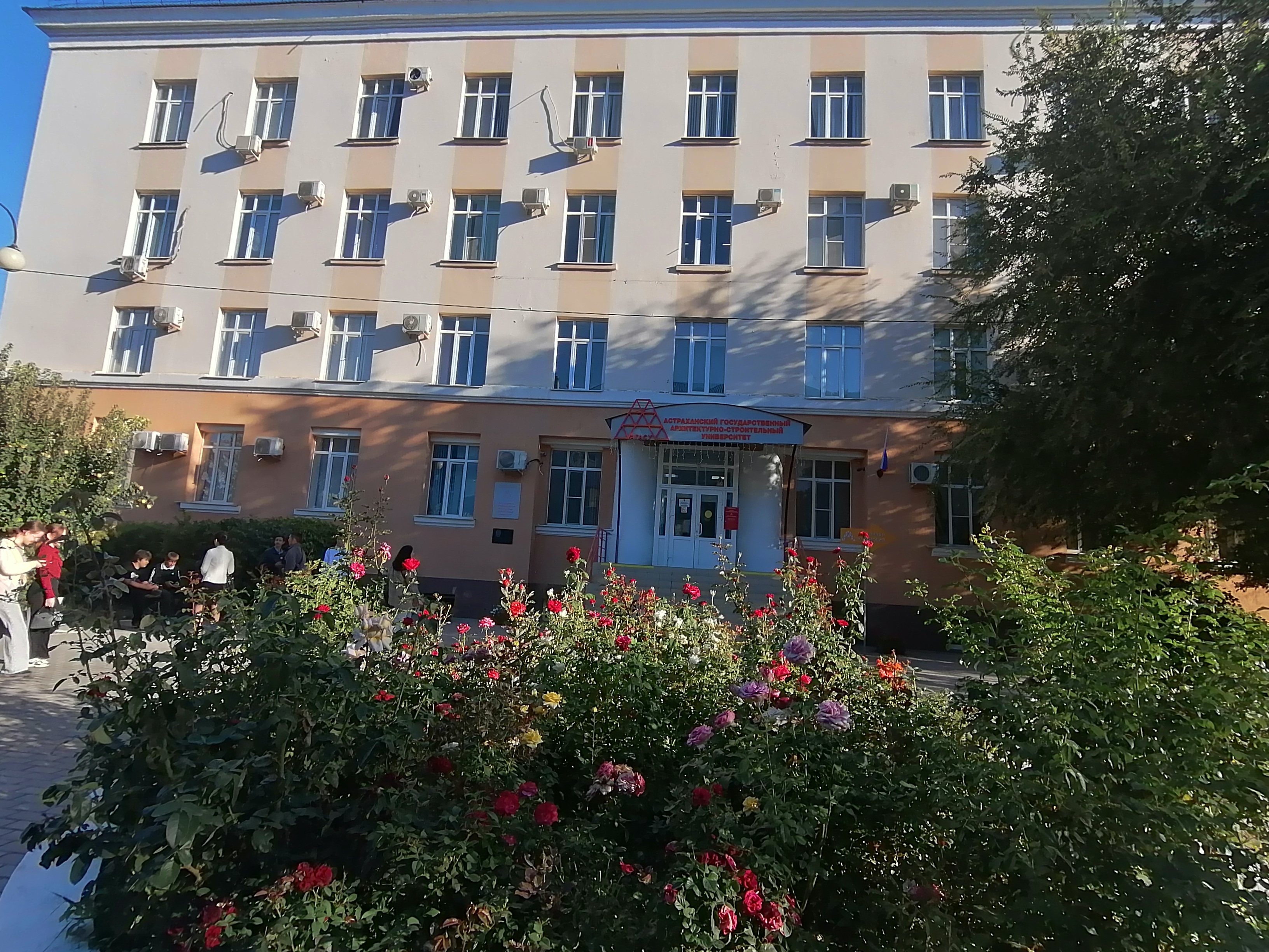 bg-img