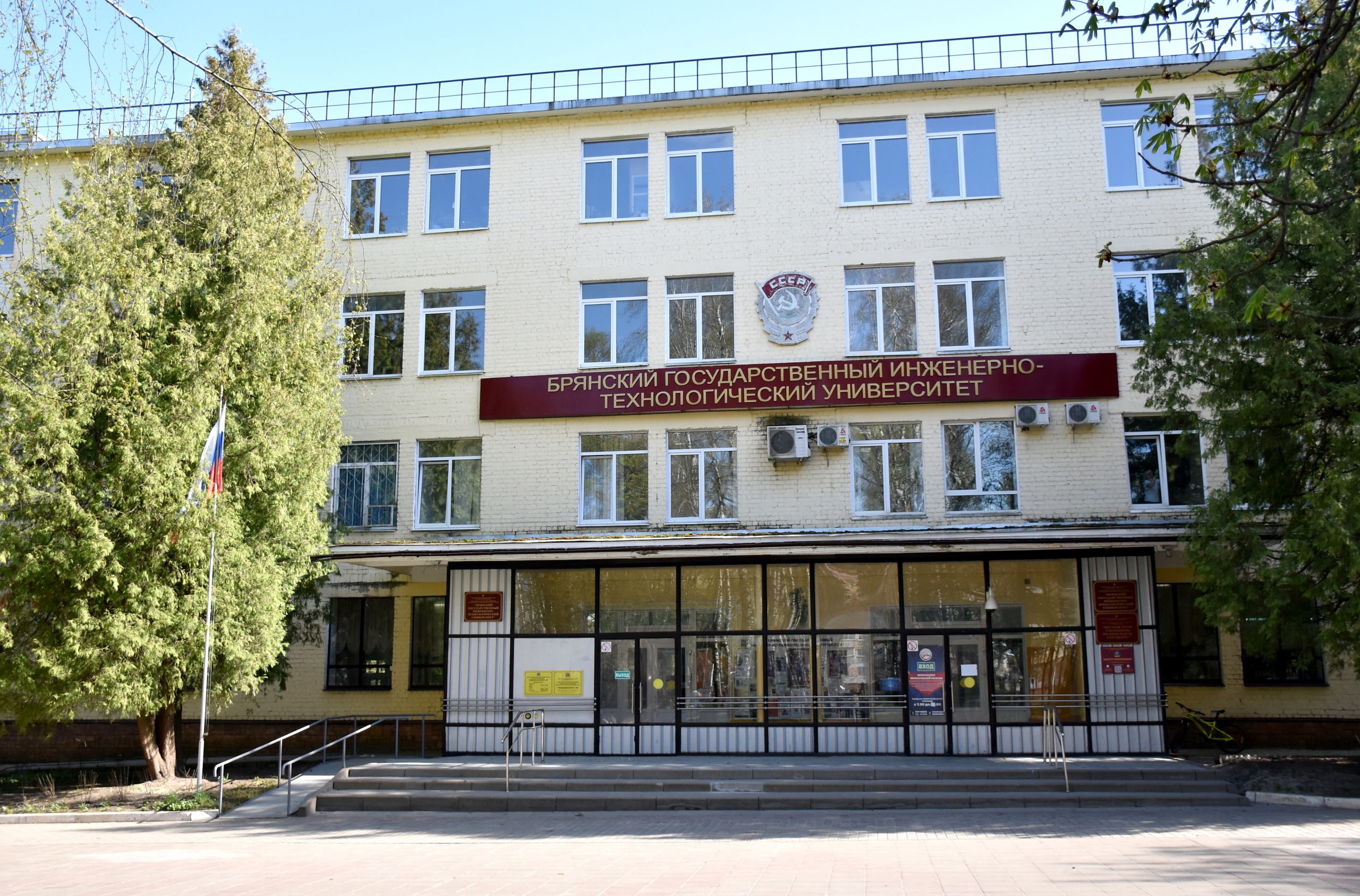 bg-img